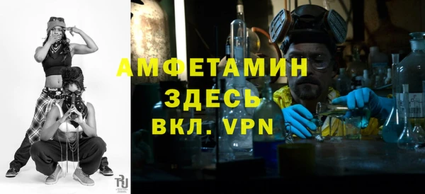 шишки Чегем